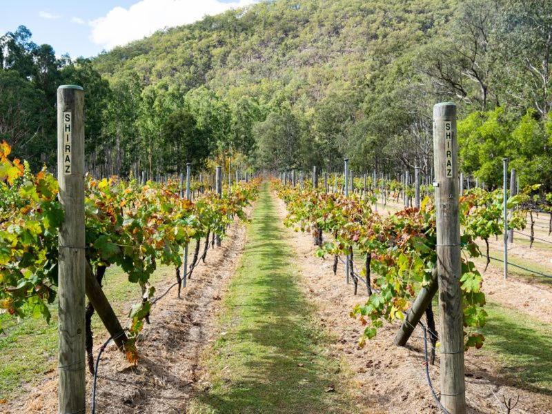 Barney Creek Vineyard Cottages Barney View Ngoại thất bức ảnh
